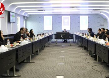 ریل گذاری بیمه دی بر فروش و سوددهی