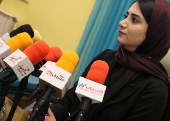 ملینا رحیمی بانویی از جنس کارآفرینی در فضای مجازی